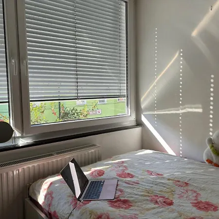 Daire Cozy Apartment, Location